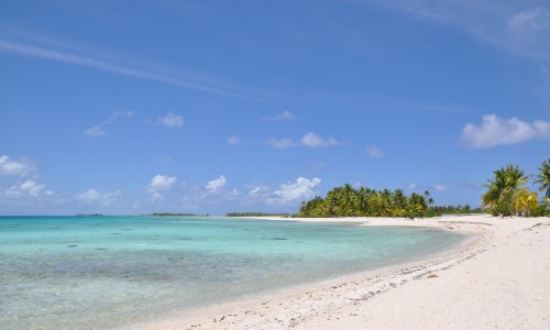 Pension Tikehau Paradise